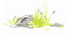 Steine und Naturmaterialien