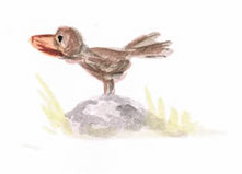 Vogel in der Natur