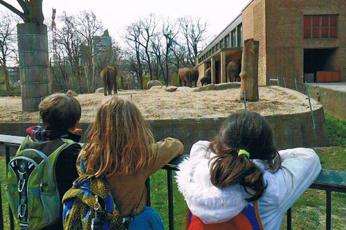 waldkindergarten berlin