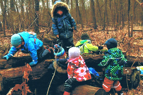 Kinder erkunden den Wald
